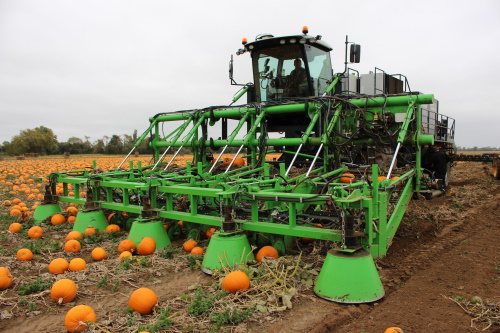 The pumpkin harvester